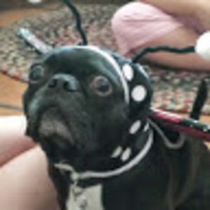 Meet your Posher, Shannon